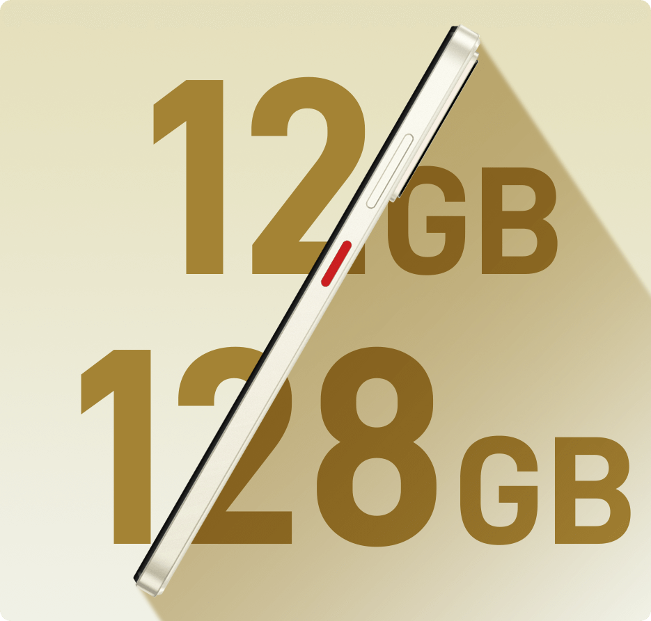 Up to 128GB+12(4+8)GB*